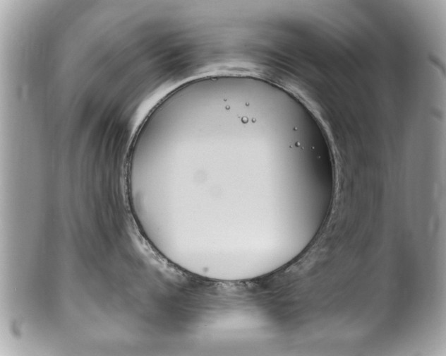 X0000100480960200806130730