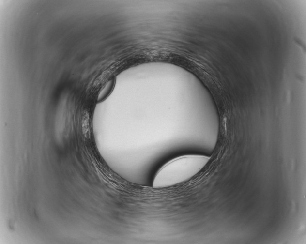 X0000100480963200806130729