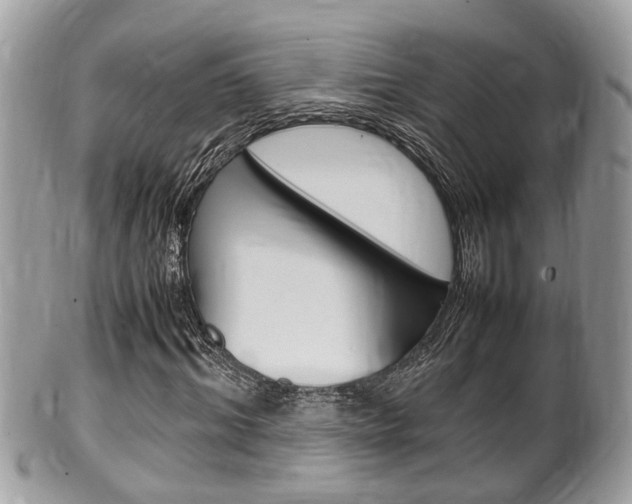 X0000100480964200806130729