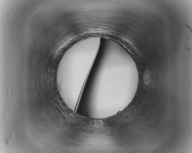 X0000100480968200806130729