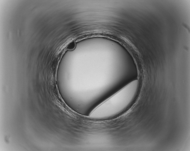 X0000100480969200806130729