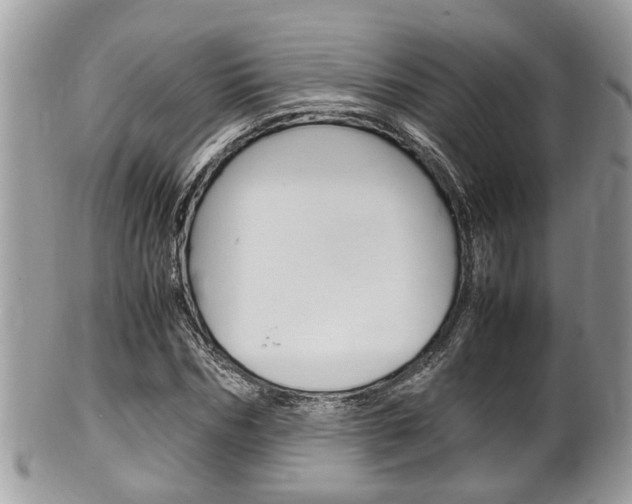 X0000100480970200806130729