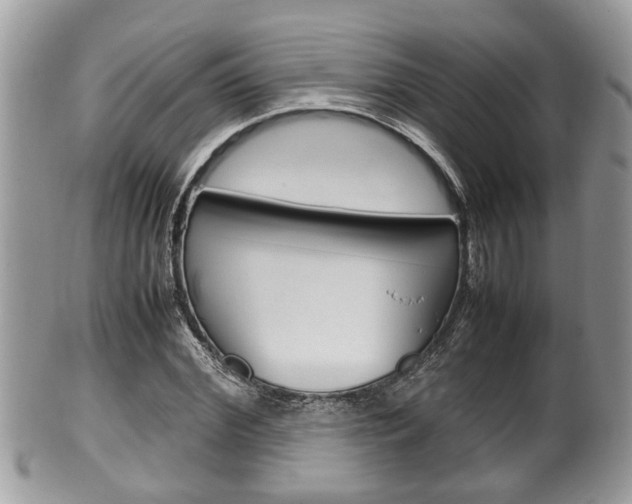 X0000100480972200806130729