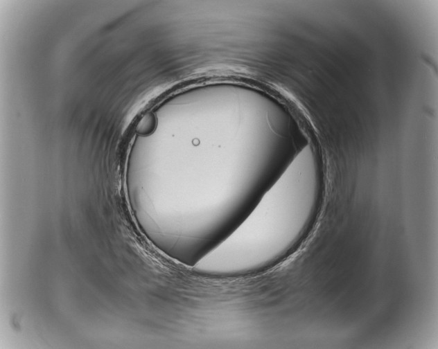 X0000100480973200806130729