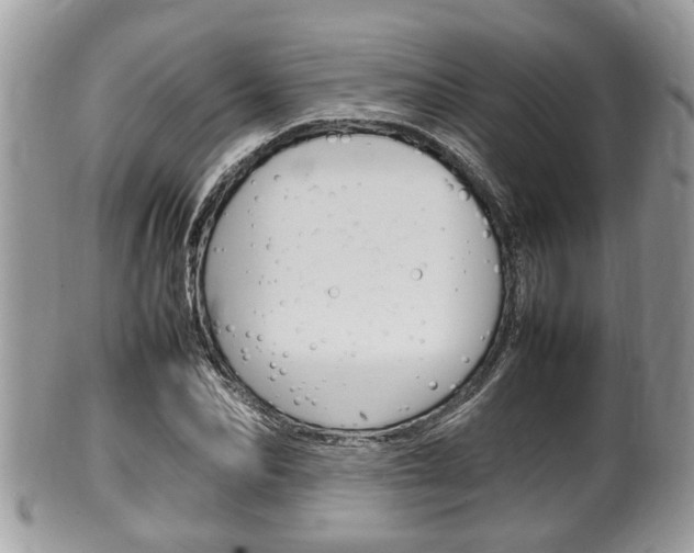 X0000100480974200806130729