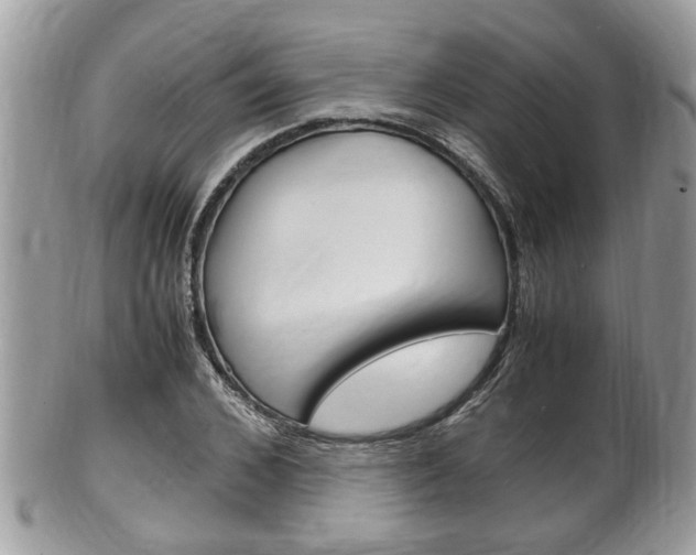 X0000100480976200806130729