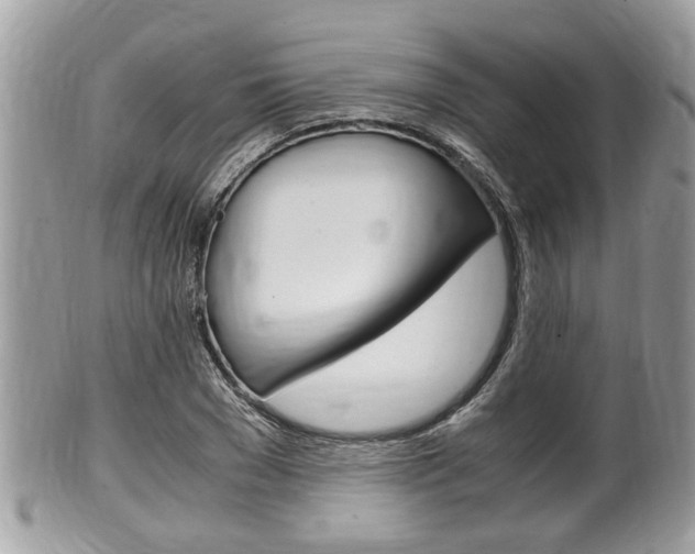 X0000100480977200806130729