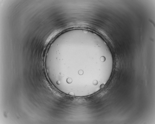 X0000100480978200806130729