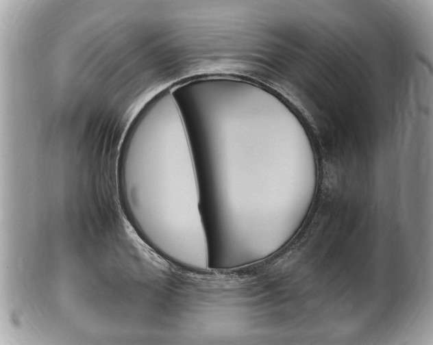 X0000100480980200806130729