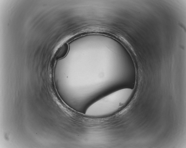 X0000100480981200806130729