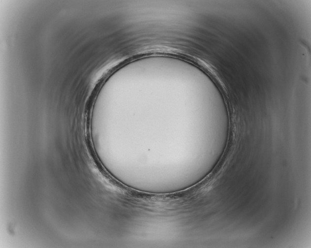 X0000100480987200806130729