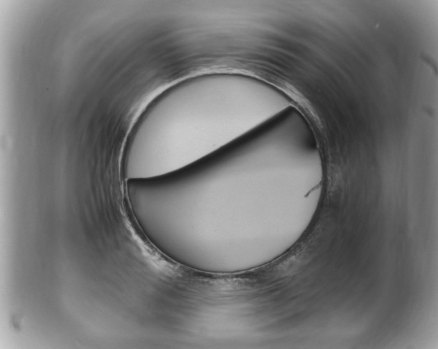 X0000100480988200806130729