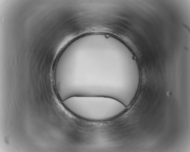 X0000100480990200806130729