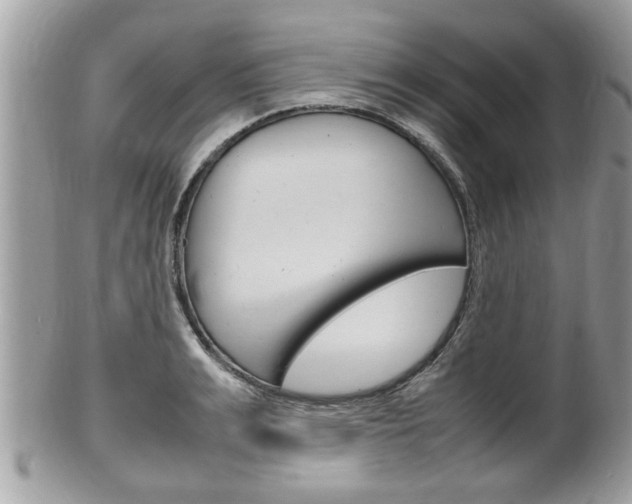 X0000100480991200806130729