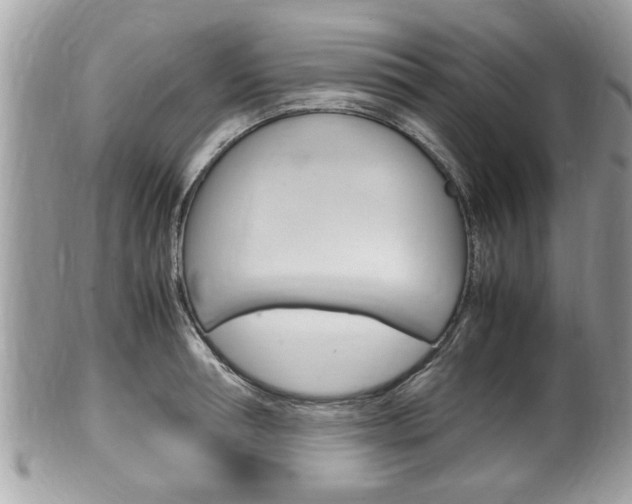 X0000100480994200806130728