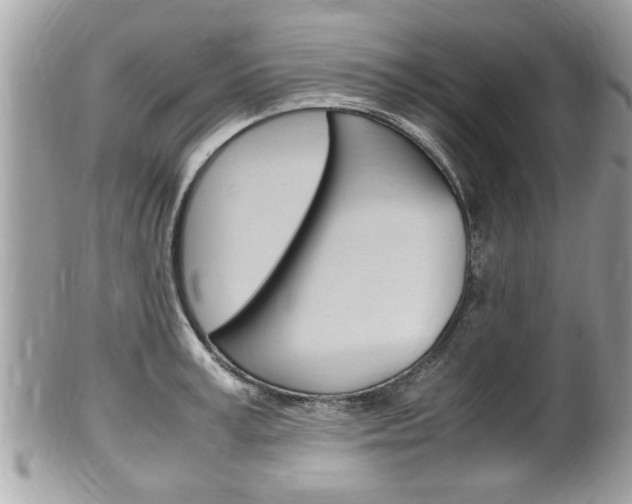 X0000100480995200806130728