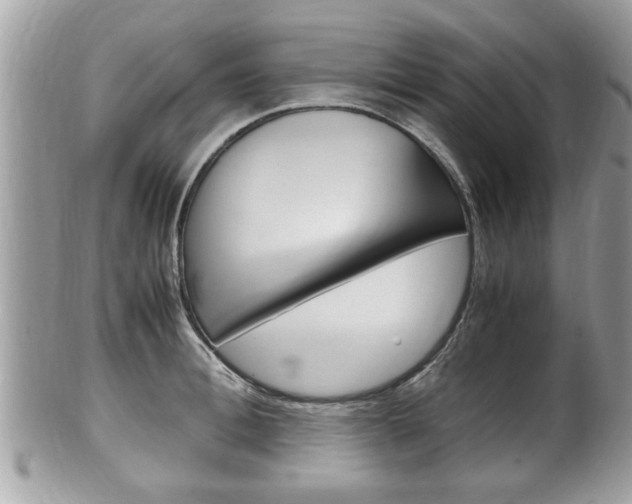 X0000100480996200806130728
