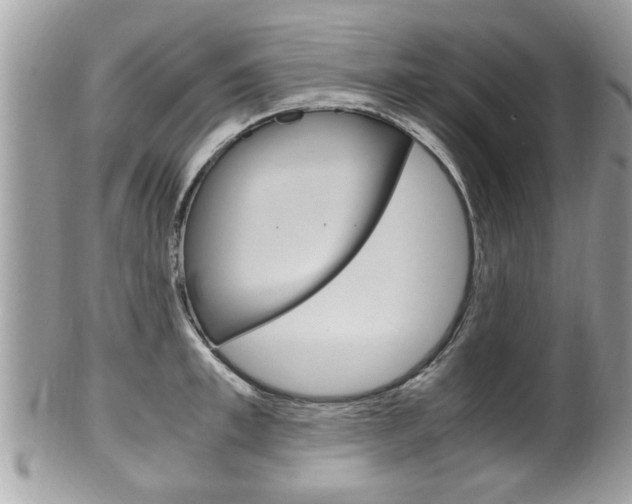 X0000100480997200806130728
