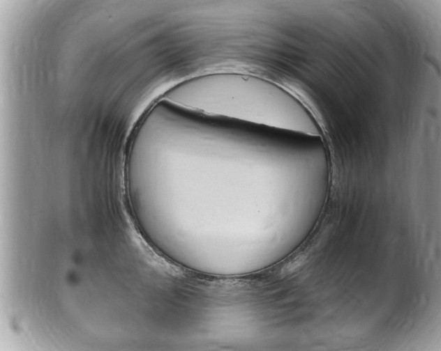 X0000100481000200806130728