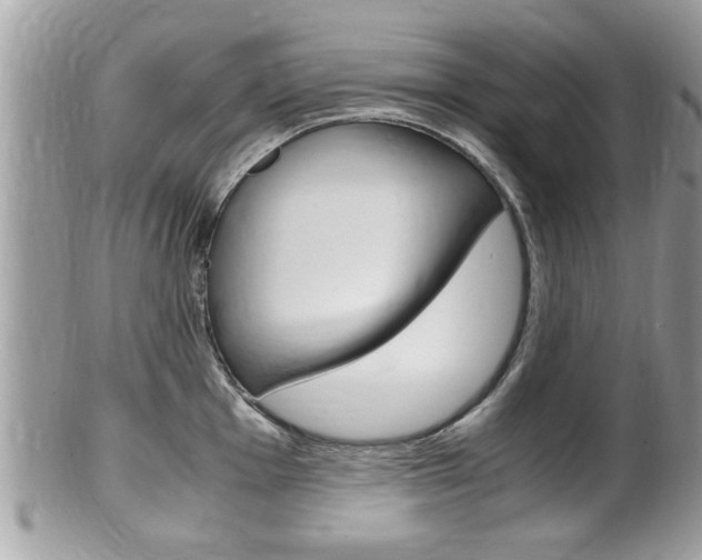 X0000100481001200806130728