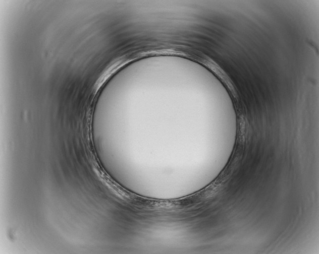 X0000100481002200806130728