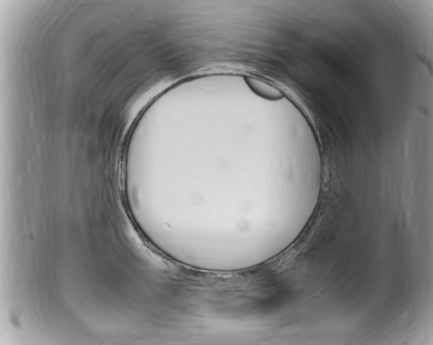 X0000100481003200806130728