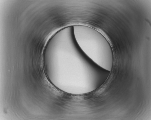X0000100481004200806130728