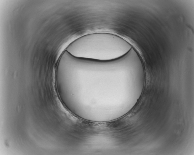 X0000100481006200806130728