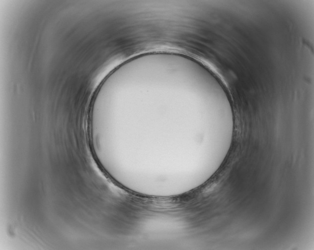 X0000100481007200806130728