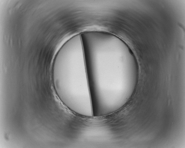 X0000100481008200806130728