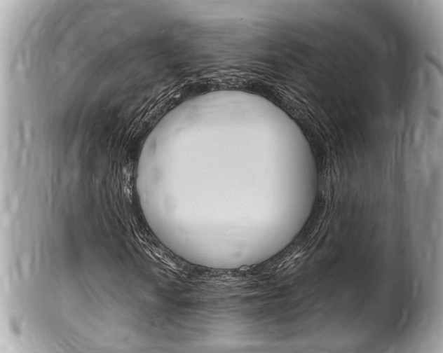 X0000100481010200806130728