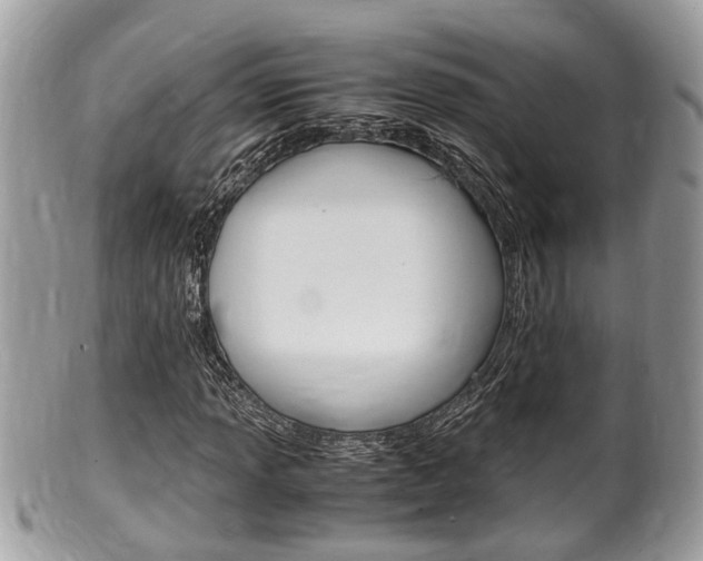 X0000100481013200806130728
