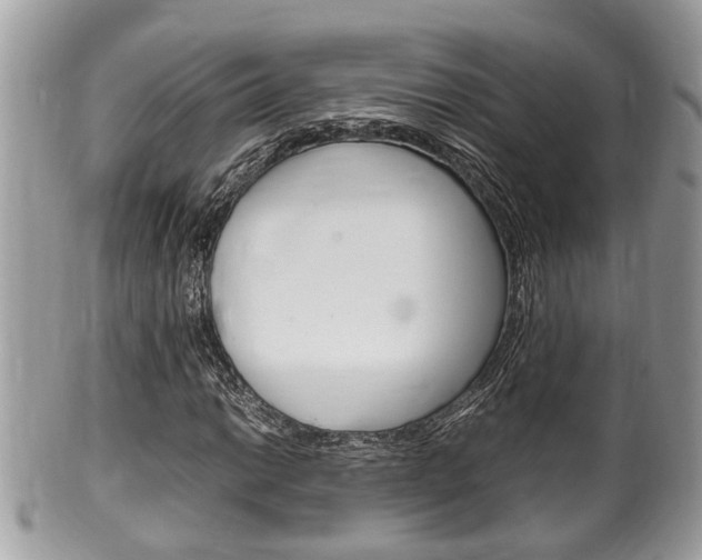 X0000100481014200806130728