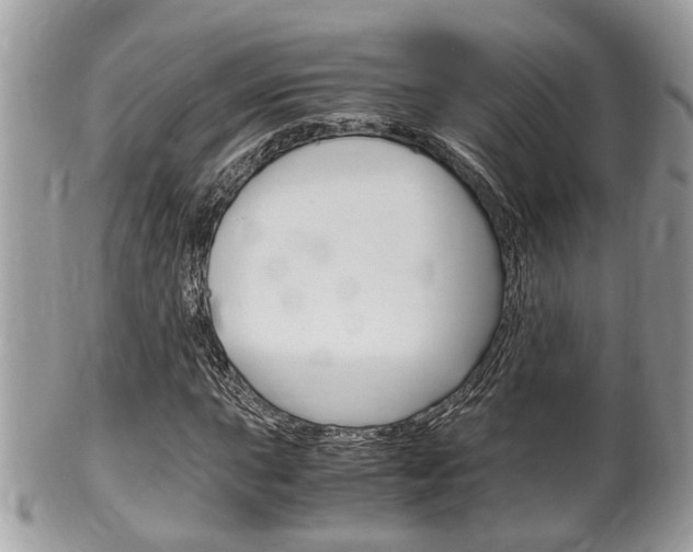 X0000100481015200806130728