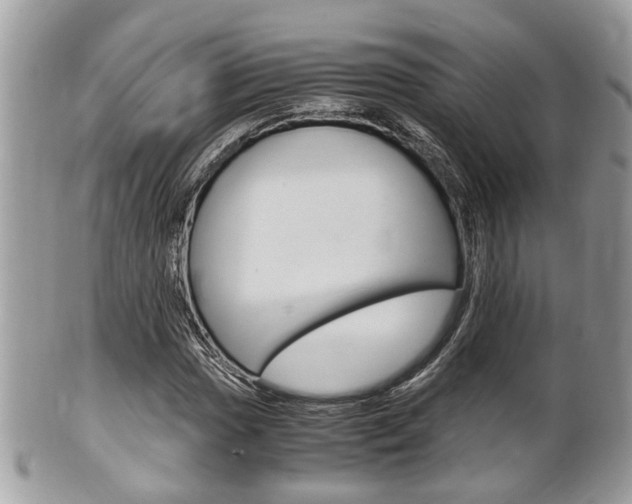 X0000100481017200806130728