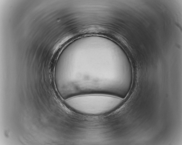 X0000100481018200806130728