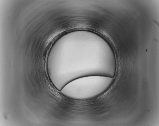 X0000100481019200806130728