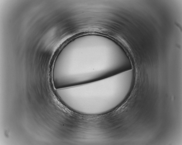 X0000100481020200806130728