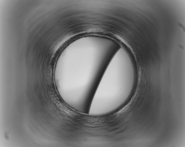 X0000100481021200806130728