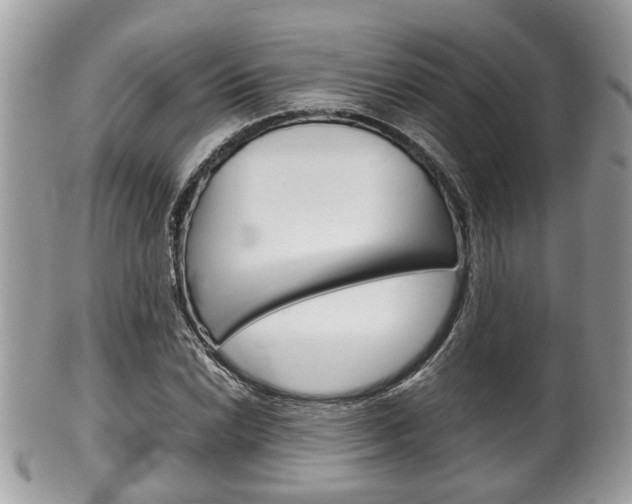 X0000100481022200806130728