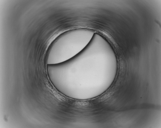 X0000100481023200806130728