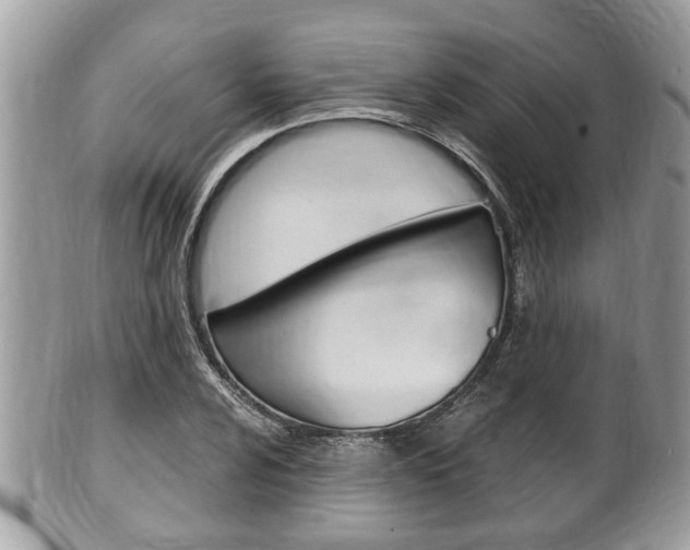 X0000100481024200806130728