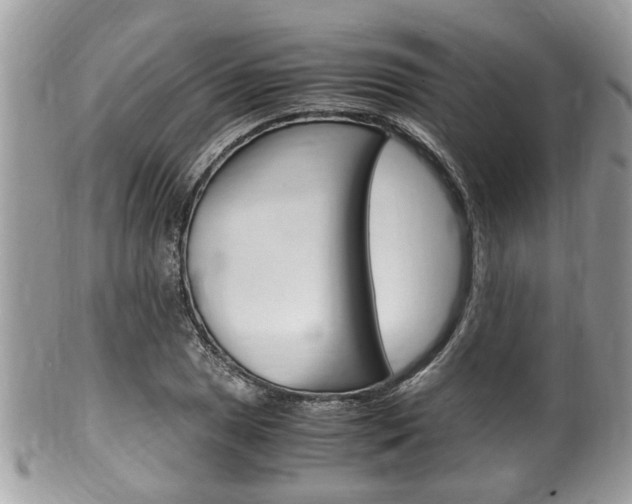 X0000100481025200806130728