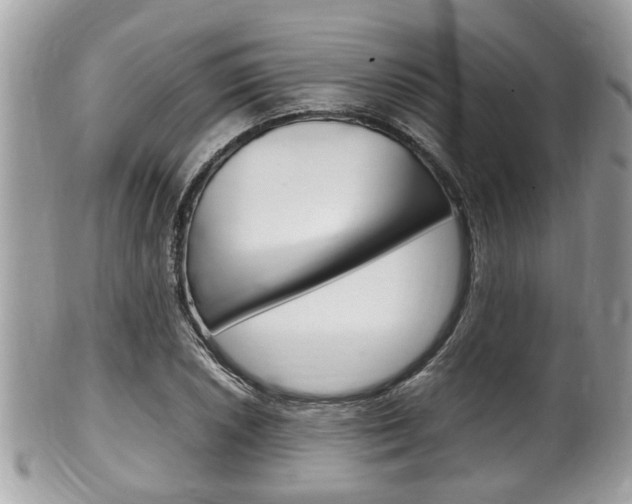 X0000100481026200806130728