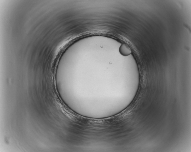 X0000100481027200806130728