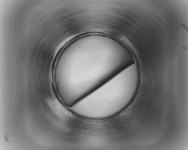 X0000100481028200806130728