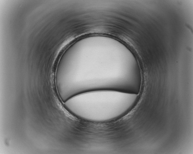 X0000100481029200806130728