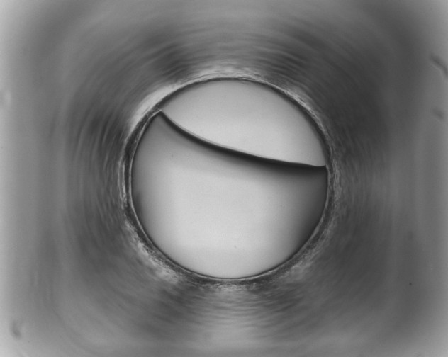 X0000100481030200806130728
