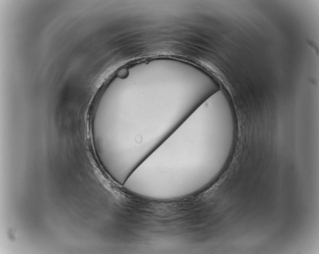 X0000100481031200806130728