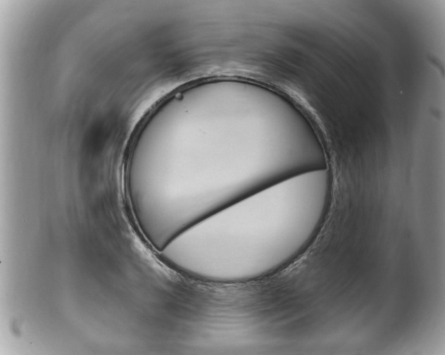 X0000100481032200806130728